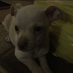 Meet your Posher, Jimmy